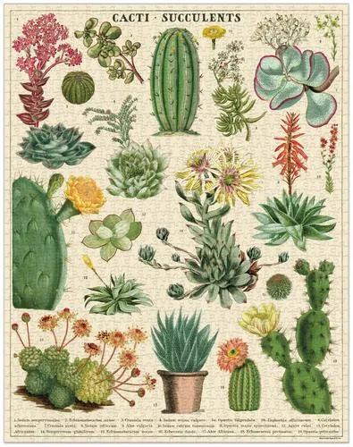  Cacti & Succulents  - 1000-Piece Puzzle